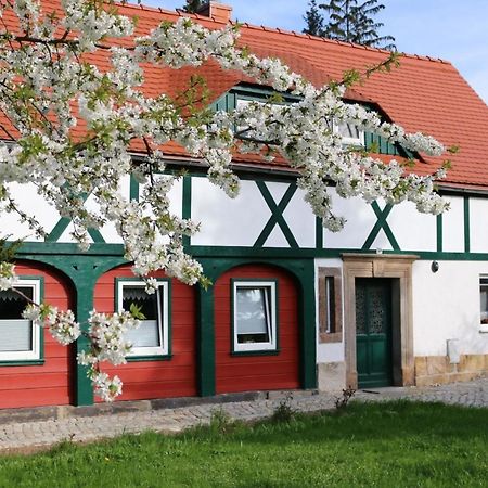 Ferienwohnung In Kurort Jonsdorf Mit Terrasse, Grill Und Garten Bagian luar foto