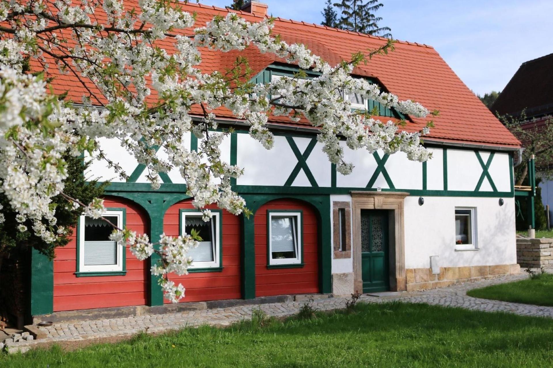 Ferienwohnung In Kurort Jonsdorf Mit Terrasse, Grill Und Garten Bagian luar foto